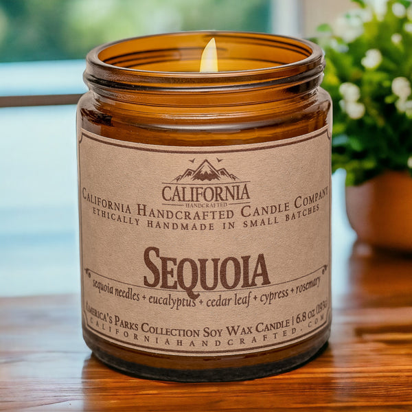 Sequoia National Park Scented Soy Wax Jar Candle | Giant Sequoia + Eucalyptus + Cedar Leaf + Cypress + Rosemary