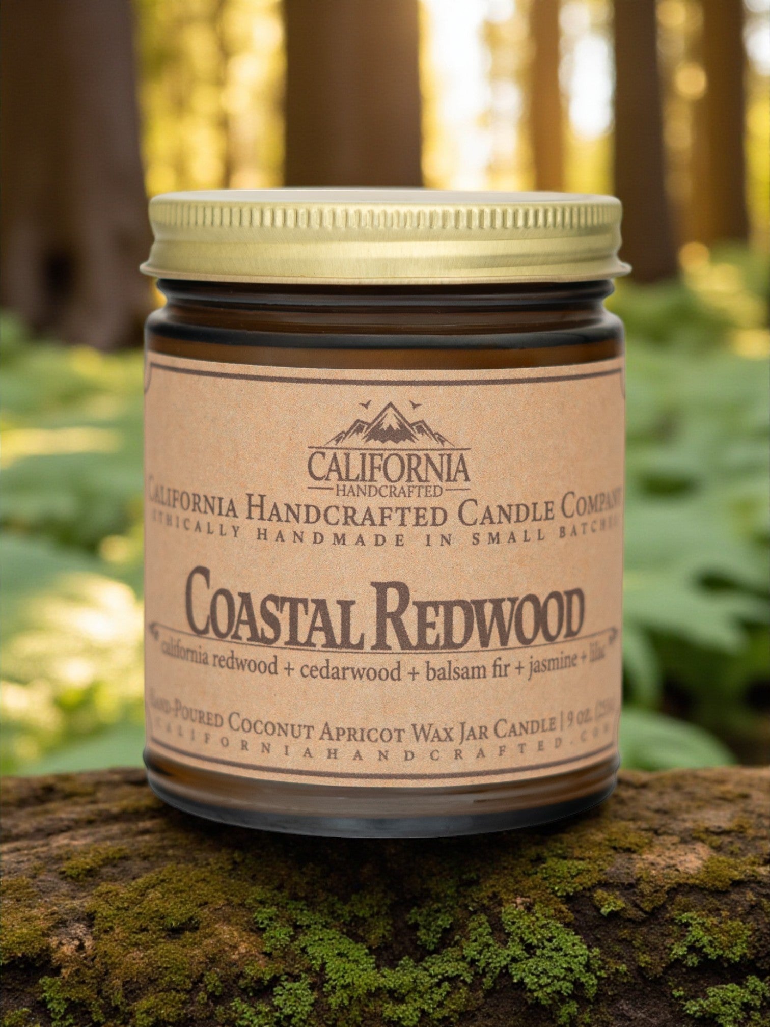 Coastal Redwood Jar Candle - California Handcrafted